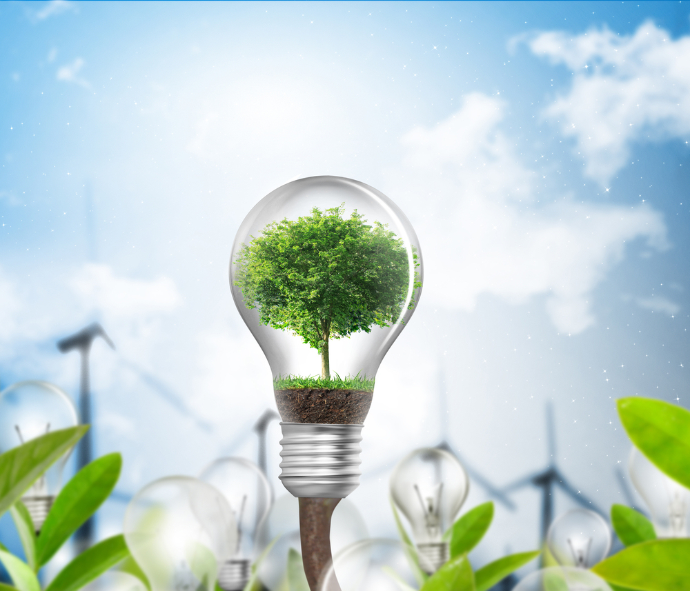 New curriculum for the Department of Health and Environmental Science